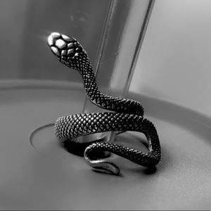 Snake Ring🐍
